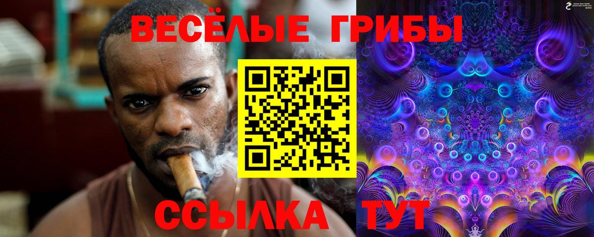 Псилоцибиновые грибы Psilocybe Лесозаводск