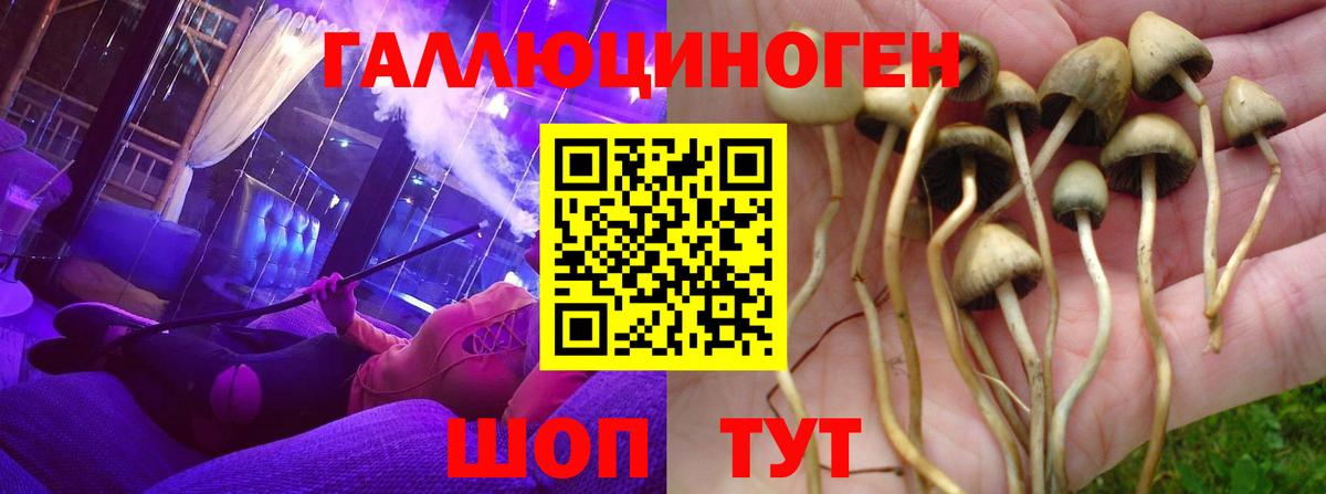 Галлюциногенные грибы Psilocybe  Вход с VPN  Галлюциногенные грибы ЛСД  Лесозаводск 